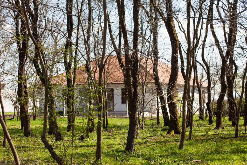 Hotel Kakasszeki Vendeghaz Székkutas Zewnętrze zdjęcie